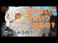 もう少し、時間がゆっくり過ぎてほしいです