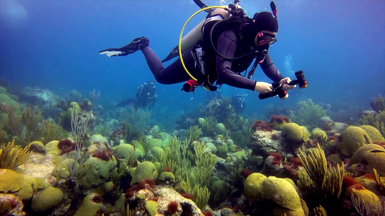 PADI in Bermuda