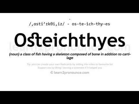 Pronunciation of Osteichthyes | Definition of Osteichthyes