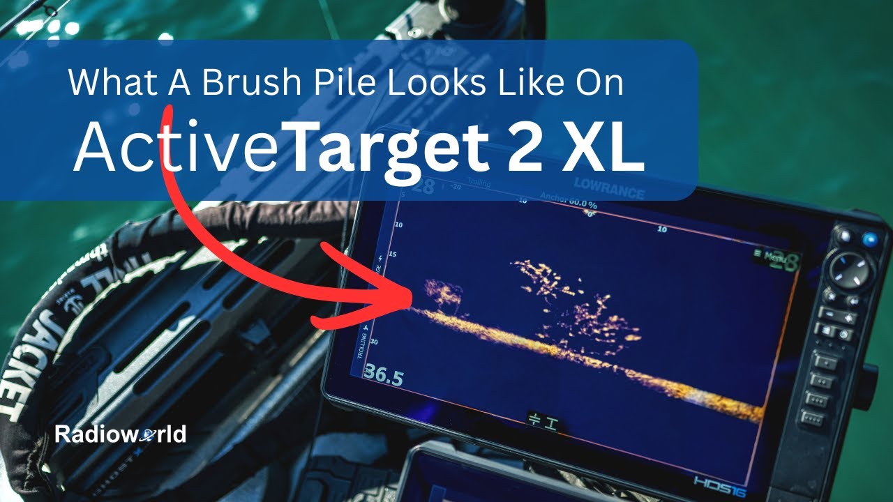 Fish in a Brush Pile on ActiveTarget 2 XL - YouTube