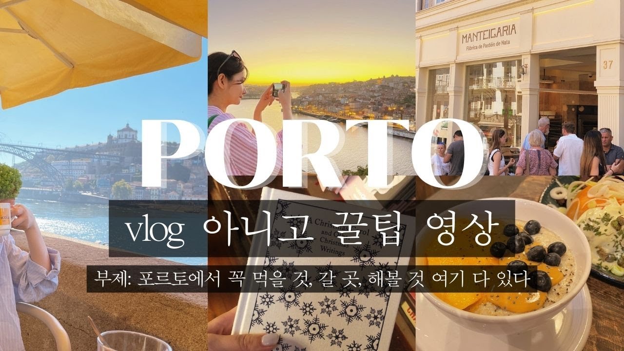 포르토 여행 꿀팁만 알차게 모아모아🍯✨🧡 (집중!! 먹을것, 갈곳, 할것 딱 저장!)