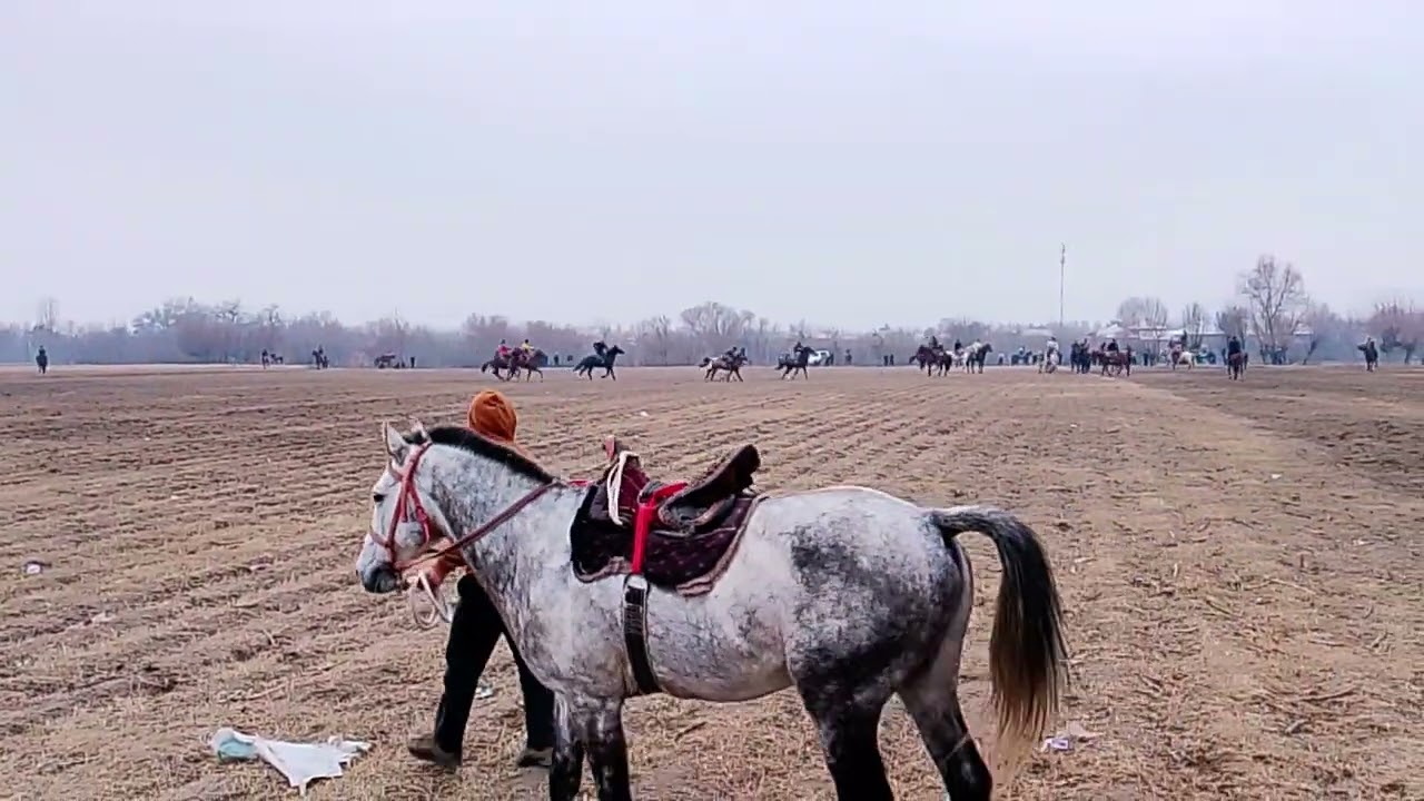 Бузкаши Хамадони дар Ленин 21.01.2026