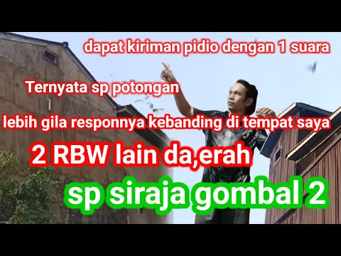 dapat kiriman pidio dari kawan,2 RBW lain da,erah dengan 1 suara ternyata responnya lebih gila dapat kiriman pidio dari kawan,2 RBW lain da,erah dengan 1 suara ternyata responnya lebih gila