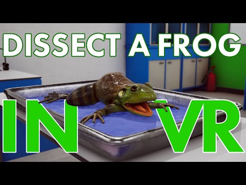 Dissect A Frog in Virtual Reality with VictoryXR - Winner of the HTC Viveport award for Education