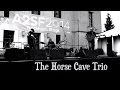 The horse cave trio at the ann arbor summer festival please give me something