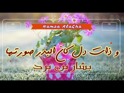 شعر وذات دل كأن البدر صورتها الشاعر بشار بن برد اداء حمزة الاغا شعر شعر قصيدة أدب