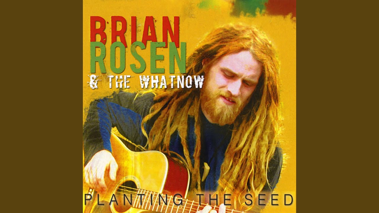 Seeds of Consciousness