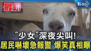 「少女」深夜尖叫!居民嚇壞急報警 爆笑真相曝｜TVBS新聞 @TVBSNEWS01