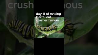 day 11 of making Darth leaf crusher famous