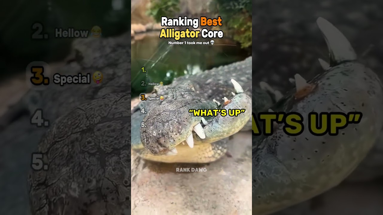 Ranking Best Alligator Core (Part 5) 🐊