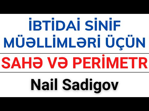 SAHƏ VƏ PERİMETR ÜZRƏ ŞƏKİLLİ SUALLAR | MİQ VƏ SERTİFİKASİYA | Nail Sadigov