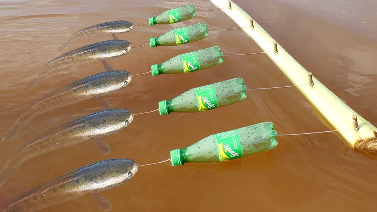 How to Make Easy Fish Trap Using Bottle Sprite Work Good​ 100%