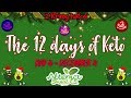 12 Days of Keto livestream with 2kk | Day 4 | Alterna Sweets