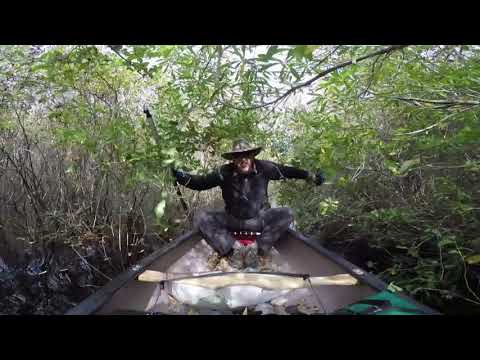 OKEFENOKEE LAND OF THE TREMBLING EARTH Short Version No Commentary 