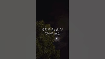 تلاوة من القرآن الكريم بصوت الشيخ ماهر المعيقلي | سورة الأحزاب من آية ٣٩ إلى آية ٤٠ | تلاوة رائعة