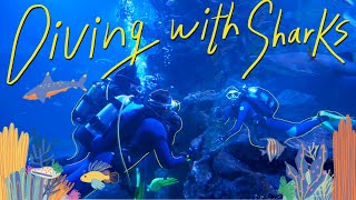 Diving with sharks ดำน้ำในแท็งค์ฉลามที่กรุงเทพ!! | The Bottom Club