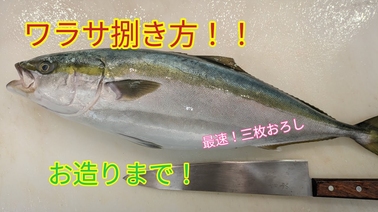 [魚の捌き方]ワラサを最速で三枚おろししてお造りを造りました - YouTube