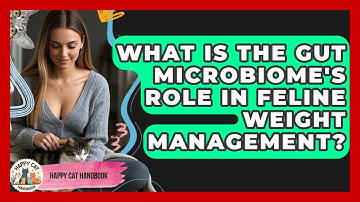 What Is The Gut Microbiome