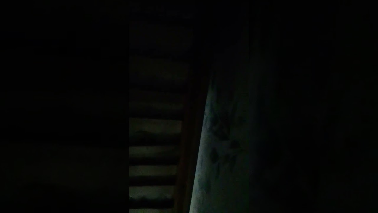 7 марта 2024 г.