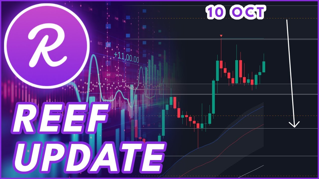 REEF PUMPING AGAIN!🔥 | REEF PRICE PREDICTION & NEWS 2024! - YouTube