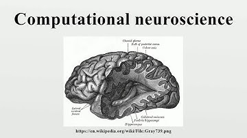 Computational neuroscience