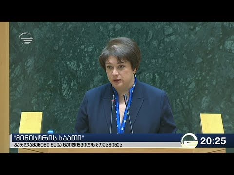 პარლამენტში მაია ცქიტიშვილს მოუსმინეს