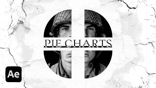 How To Edit Cinematic Pie Charts (After Effects Tutorial)