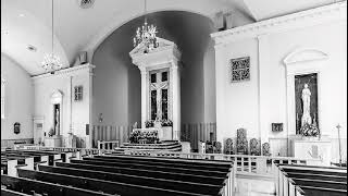 9:30 Mass - 2-1-26 - Fr. Lowe - St. Dorothy's Church