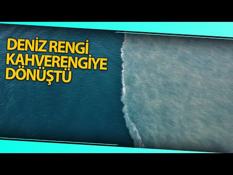 Mersin'de Dere Suyu, Denizin Rengini Kahverengiye Dönüştürdü