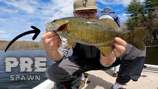 Catching Aggressive PreSpawn Bass! (Maine Bass Fishing)