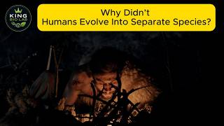 Why Didn’t Humans Evolve Into Separate Species? #Speciation #HumanEvolution #HomoSapiens