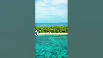 سورة الفرقان و..كا.نك تسمعها لأ،،و..ل مر،ة 🌸،🏵️..💝💟،،💮💚.💞بصوت الشيخ حمزة مد بو.ح 🌼؛💖؛،🧡🏵️،.🌺🌸💕
