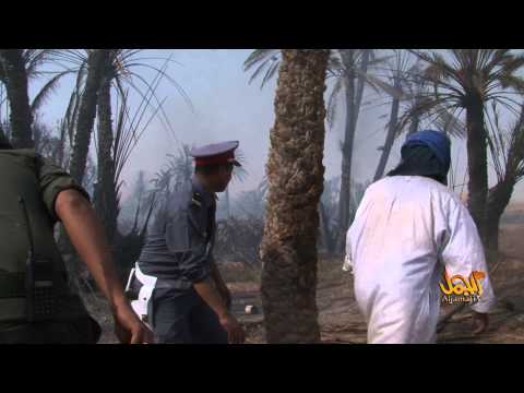 النيران تلتهم المئات من نخيل واحة آسرير المركز