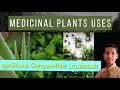     medicinal plants  tamil  aravindh talks tamil