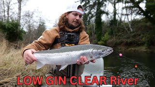 FIRST Winter Steelhead | LOW Water GRIND!! | by Fishing The Odds 7,046 views 4 months ago 20 minutes