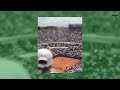 French Open Umpire Blunder Reignites Hawk-Eye Debate