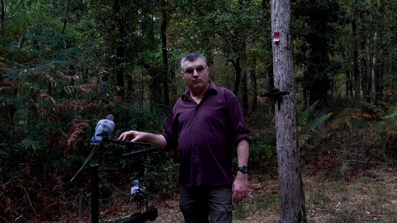 Fil Laplombe palombe.org Stratégie d'utilisation des pigeons sur fil - YouTube