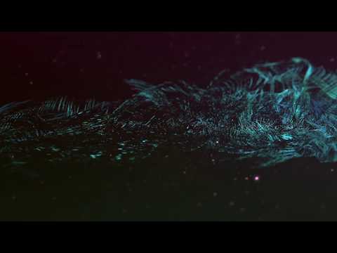 Kasai / Y (BOKKA) - Rite of Passage (Official Video)