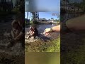 Deputies Rush Into Gator Canal to Arrest Suspect