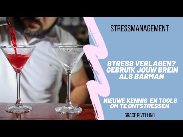 VAN STRESS NAAR ONTSPANNING? GEBRUIK JOUW BREIN ALS BARMAN. HOE DAN? ONTDEK HET HIER...