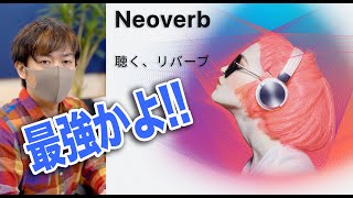 【最強のリバーブ】iZotope Neoverb 抜群の音作りのしやすさ！徹底解説！【DAW DTM プラグイン】