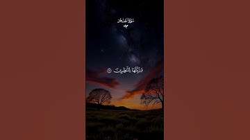 ولقد جعلنا في السماء بروجا سورة الحجر 💛#قران #هزاع_البلوشي #قران