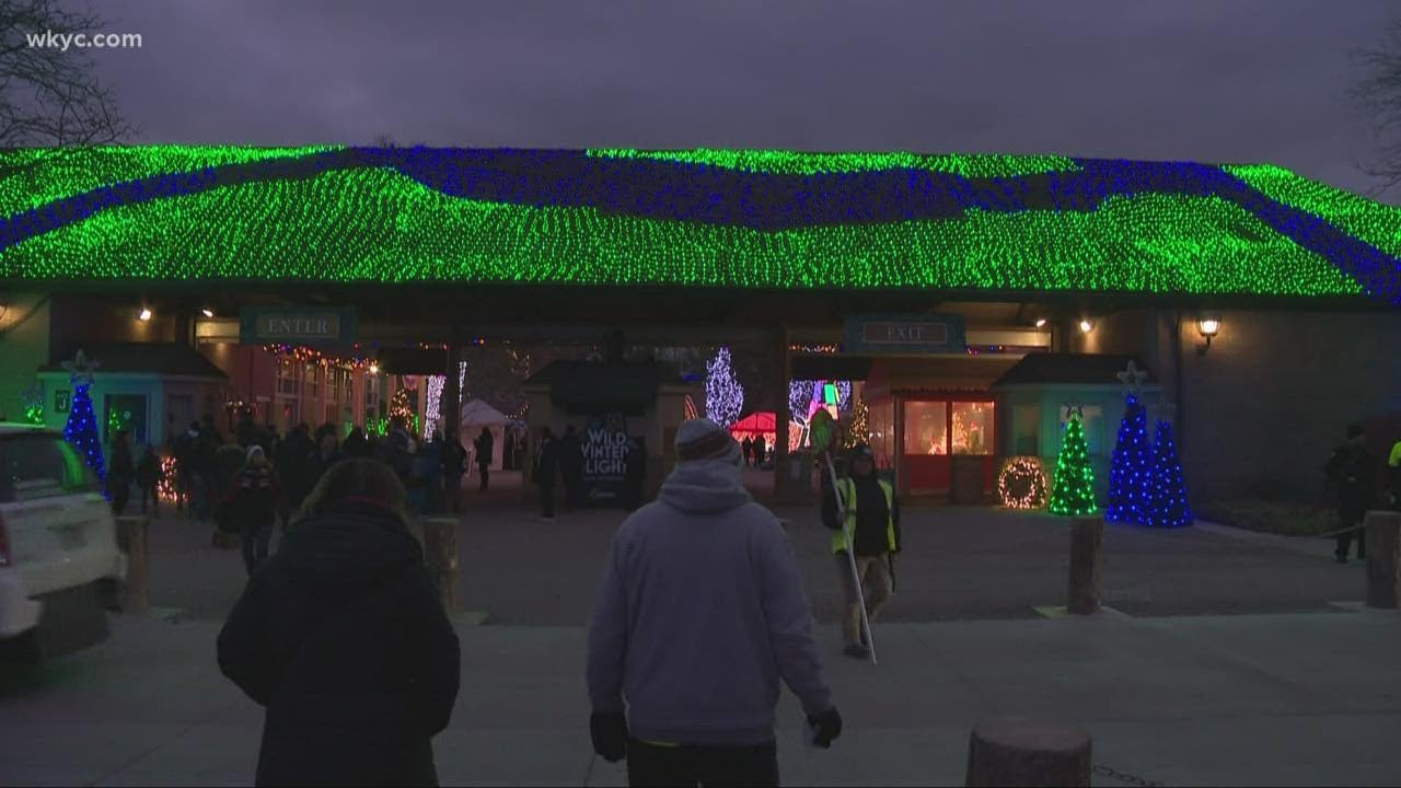 Cleveland Zoo adds final weekend for wild winter lights YouTube