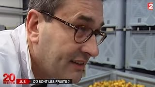 Différence entre le jus de fruit et le nectar de fruit