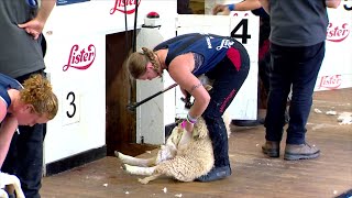 Rownd Derfynol Cneifio'r Menywod - Women's Shearing Final