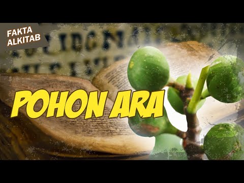 Video: Apa yang dilambangkan oleh pohon ara?