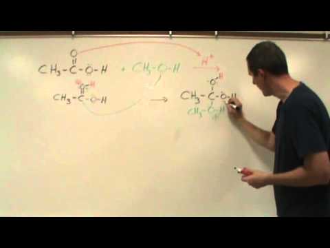 Esterification reaction mechanism - dehydration of alcohol and ...