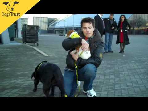 John Barrowman: A dog is for life, not just for Ch...