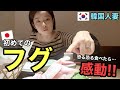 日本に住む韓国人が初めてフグを食べて感動しました！