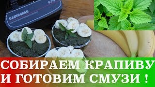ШОУ СЫРОЕДОВ / Как собирать крапиву+Рецепт Смузи из Крапивы и Банана ШОУ СЫРОЕДОВ / Как собирать крапиву+Рецепт Смузи из Крапивы и Банана